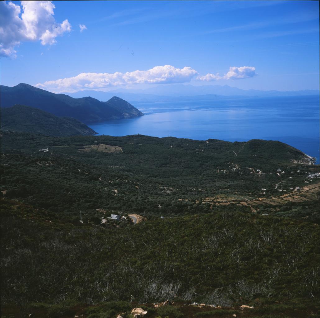 Cap corse